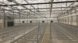 engicloud_Estufa Medicinal Canabis (1)