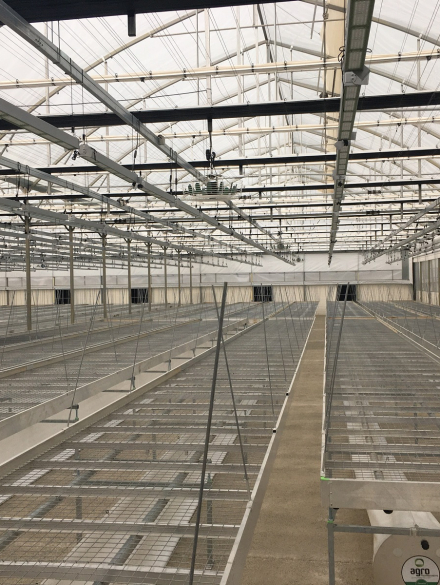 engicloud_Estufa Medicinal Canabis (1)